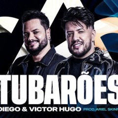 Diego e Victor Hugo
